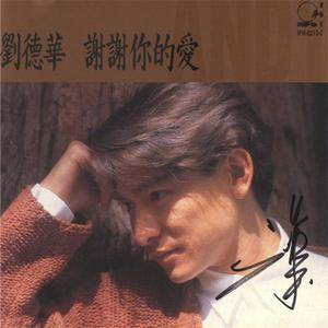刘德华-谢谢你的爱(DJ版)(DJ版)